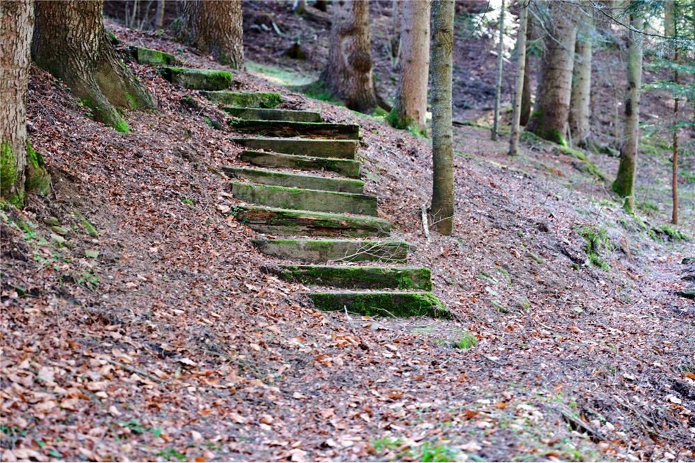 Dom wolnostojący - Sprzedaż - Pewel Ślemieńska, Polska - 72 - 800061016-1147