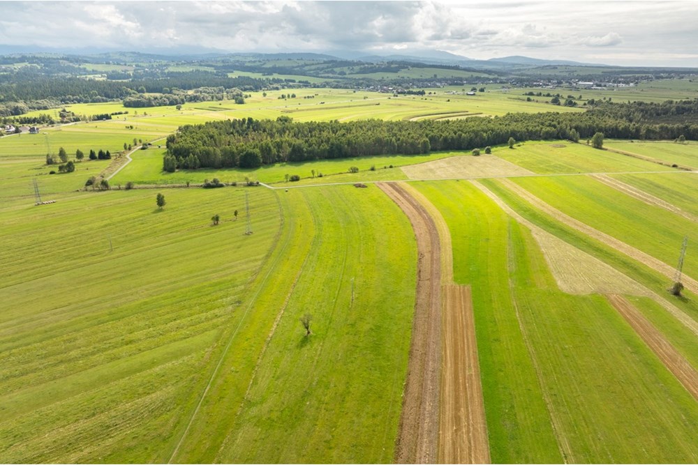 Działka - Sprzedaż - Ludźmierz, Polska - 20250912-DJI_0629-HDR.jpg - 470151024-462