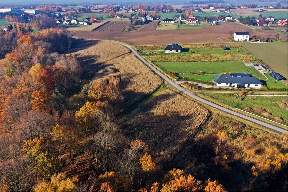 Działka - Sprzedaż - Witkowice, Polska - 6.JPG - 470131110-2