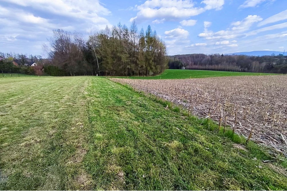 Działka budowlana - Sprzedaż - Bestwina, Polska - 12d5bf5a-3eea-4771-9200-5f161b70add2.jpeg - 800061126-15