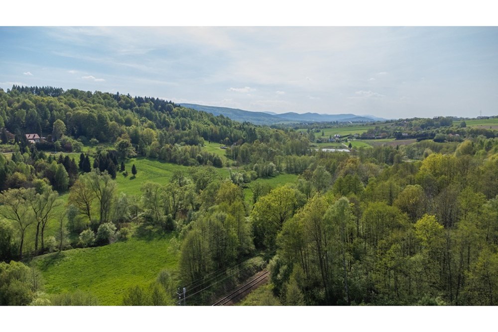 Działka - Sprzedaż - Barwałd Średni, Polska - BARWAŁD ŚREDNI_32.JPG - 470131106-29