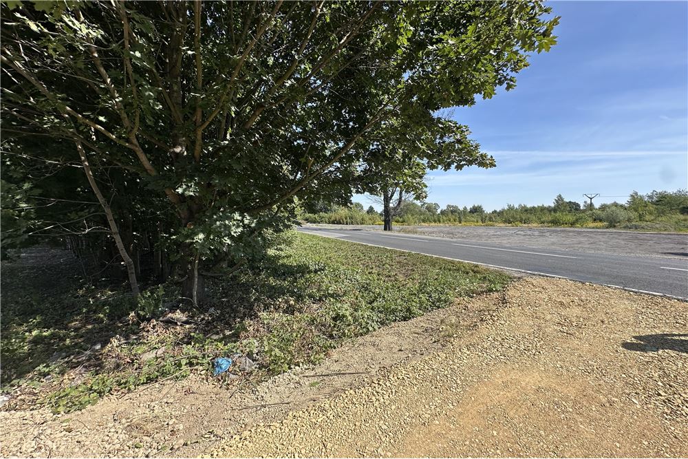 Działka - Sprzedaż - Jankowice, Polska - 23 - 800061103-174