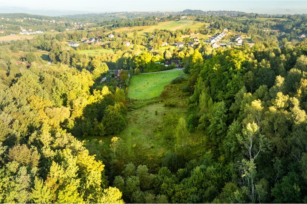 Działka - Sprzedaż - Włosań, Polska - 20250927-DJI_0443-HDR.jpg - 800241010-104