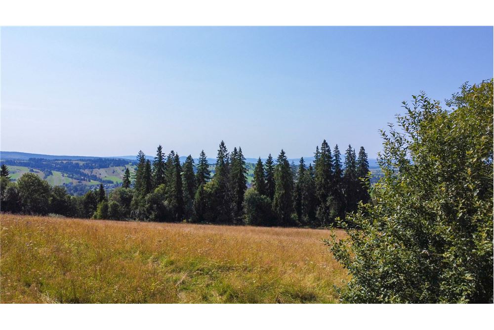 Nieruchomość gruntowa - Sprzedaż - Dzianisz, Polska - 59 - 800061116-23