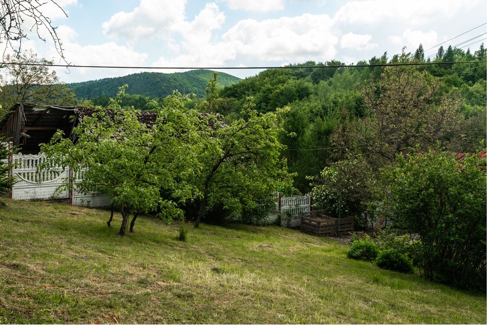 Rezydencja/Willa/Dworek - Sprzedaż - Ponikiew, Polska - IMG_1311.jpeg - 800061126-8