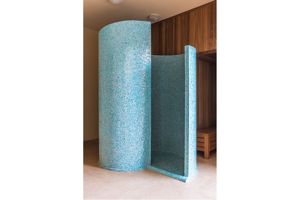 Rezydencja/Willa/Dworek - Sprzedaż - Srebrna Góra, Polska - 017 ślimak.jpg - 800271021-13