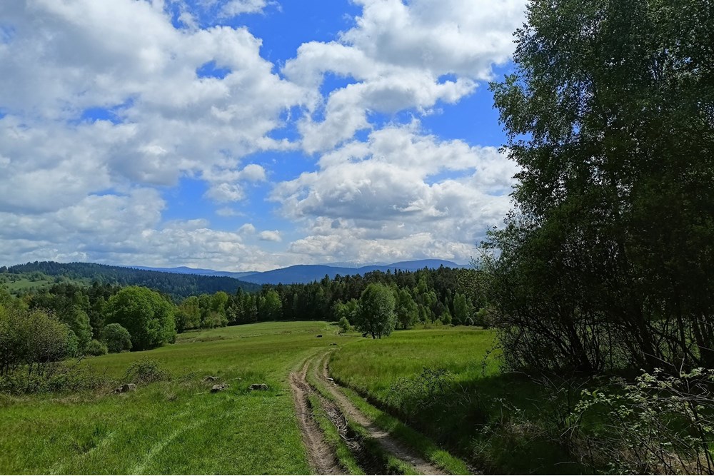 Działka - Sprzedaż - Krzeszów, Polska - Widok z działek _Droga do Leskowca_.jpg - 470131112-4