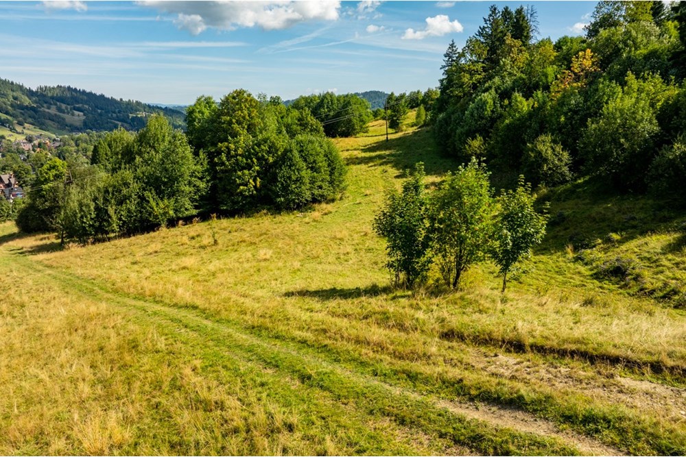 Działka - Sprzedaż - Zakopane, Polska - Artur Zając remax  (11).jpg - 800091026-83