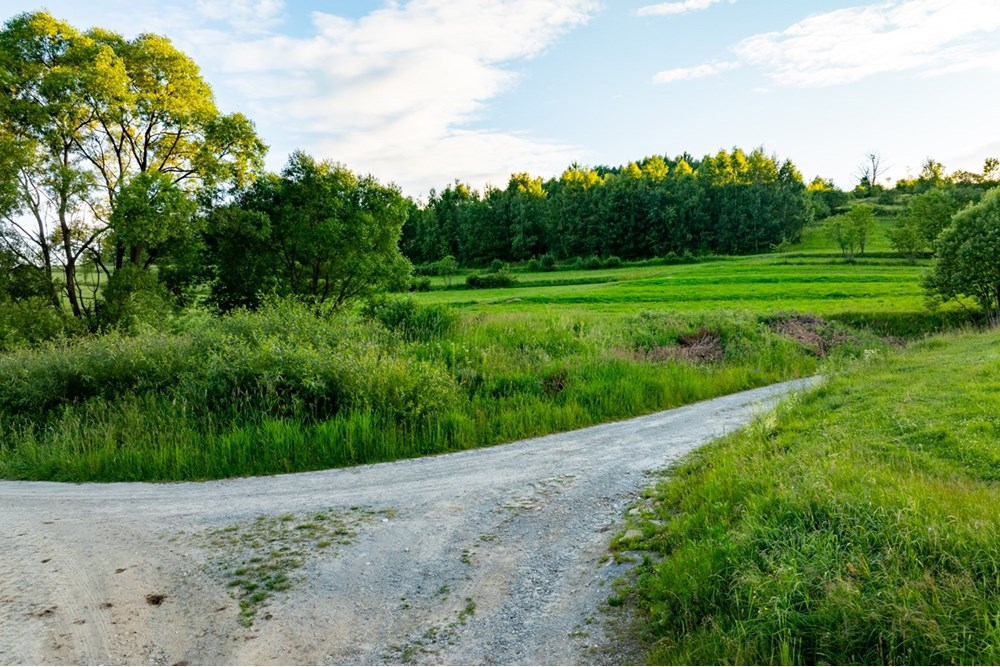 Działka budowlana - Sprzedaż - Pieniążkowice, Polska - DJI_0571-HDR-23.jpg - 800091045-36