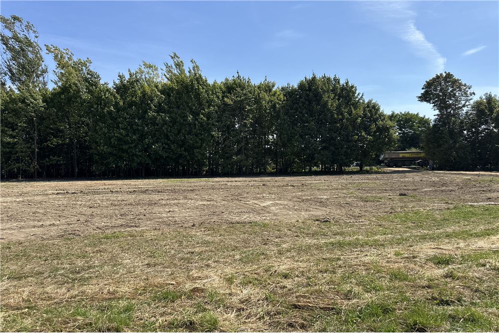 Działka - Sprzedaż - Jankowice, Polska - 7 - 800061103-174