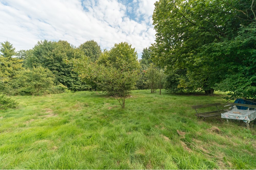 Działka budowlana - Sprzedaż - Wilkowice, Polska - WILK_023D.jpg - 800061127-29