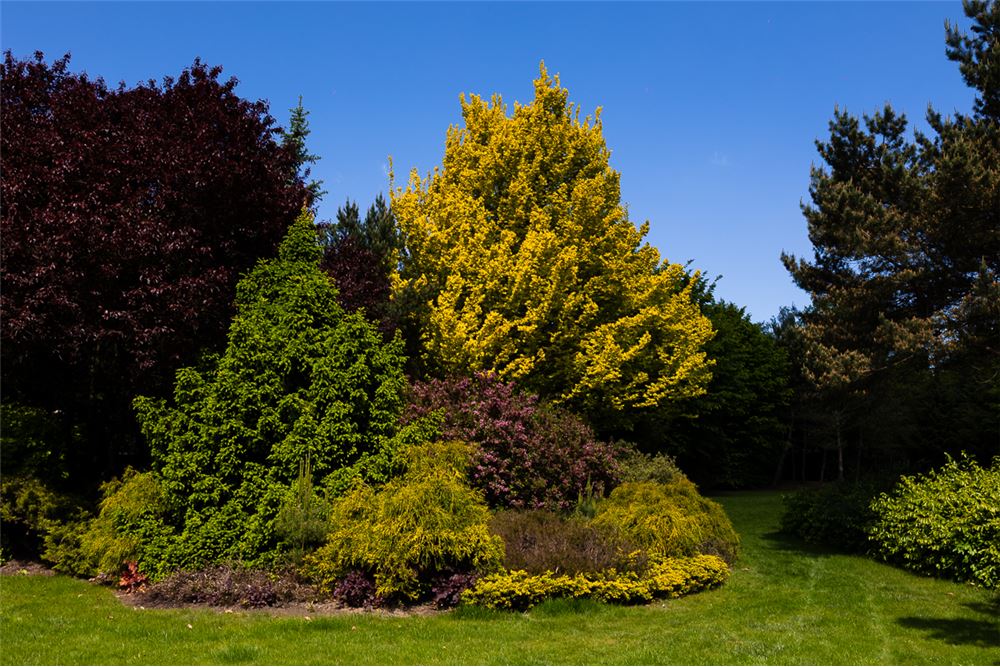 Dom wolnostojący - Sprzedaż - Łódź, Polska - 45 - 470291004-251