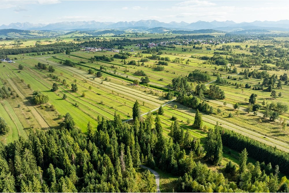 Nieruchomość gruntowa - Sprzedaż - Czarny Dunajec, Polska - 20250828-DJI_0223-HDR.jpg - 470151039-62