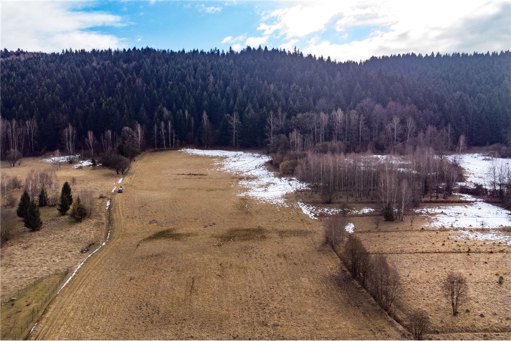 Działka budowlana - Sprzedaż - Las, Polska - 21 - 800061103-198