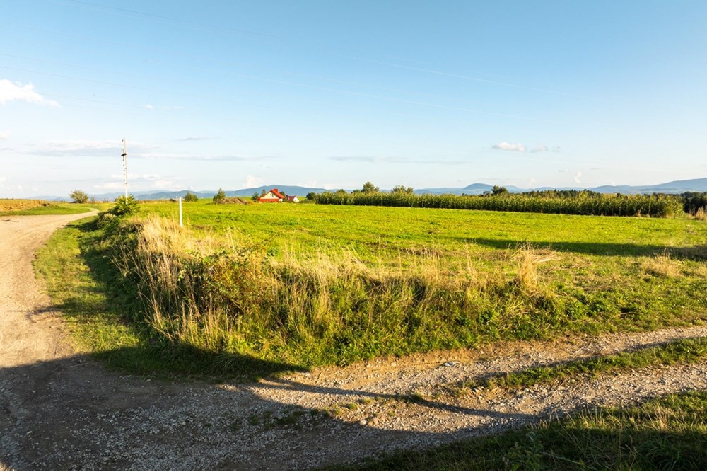 Działka budowlana - Sprzedaż - Ciężkowice, Polska - 20250909-DJI_0315-HDR.jpg - 800241031-43