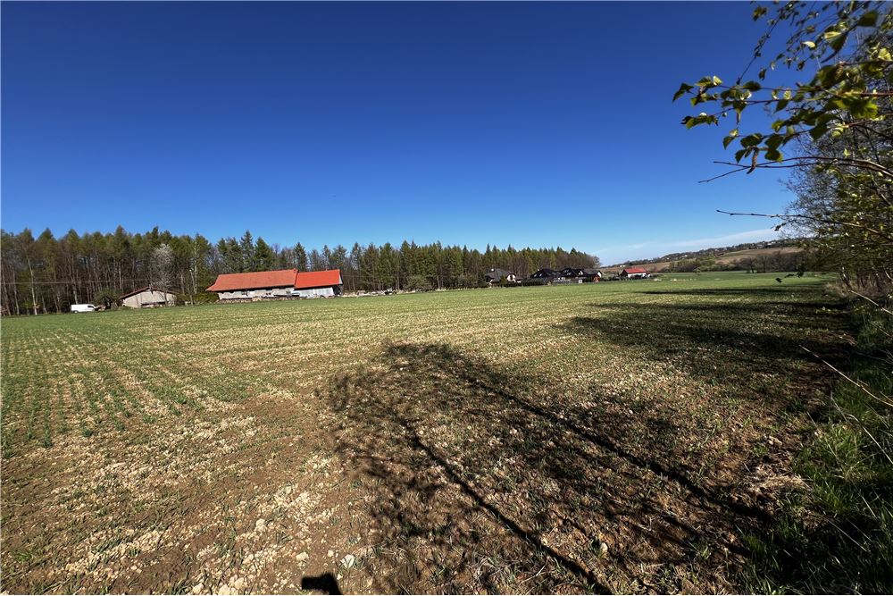 Działka - Sprzedaż - Pogórze, Polska - 4 - 800061117-26