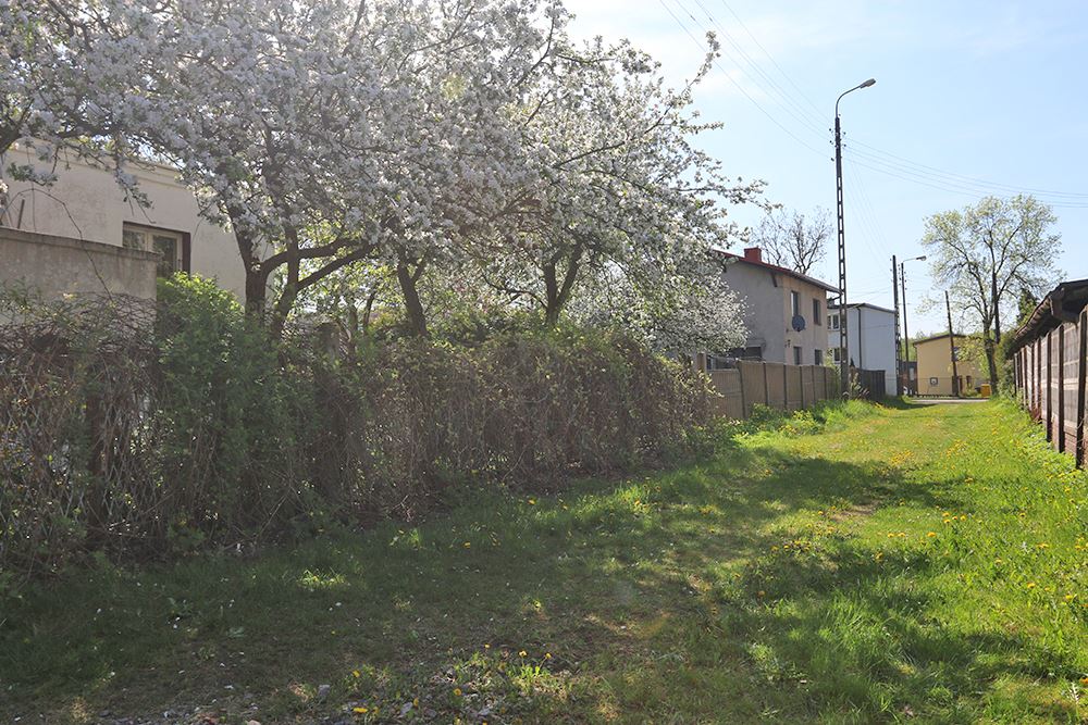 Działka budowlana - Sprzedaż - Katowice, Polska - 33 - 800041001-876