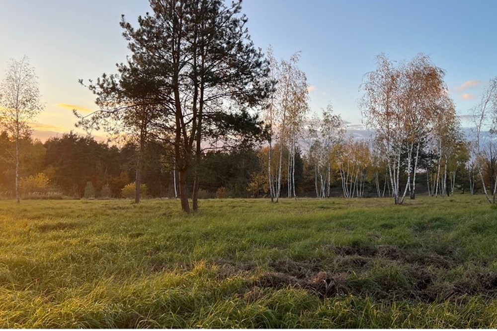 Działka budowlana - Sprzedaż - Józefów, Polska - e2033436-bfd3-4f1e-824e-9d7af7f82965 (1).jpg - 810251071-29
