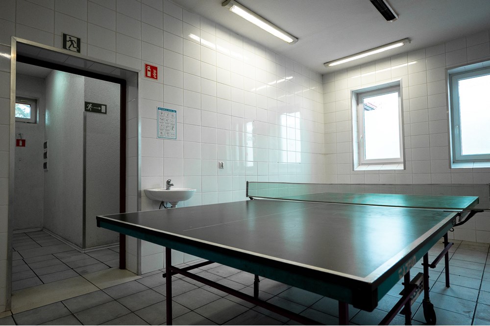 Lokal handlowy/usługowy - Wynajem - Imielin, Polska - DSC_2760.jpg - 800061127-7