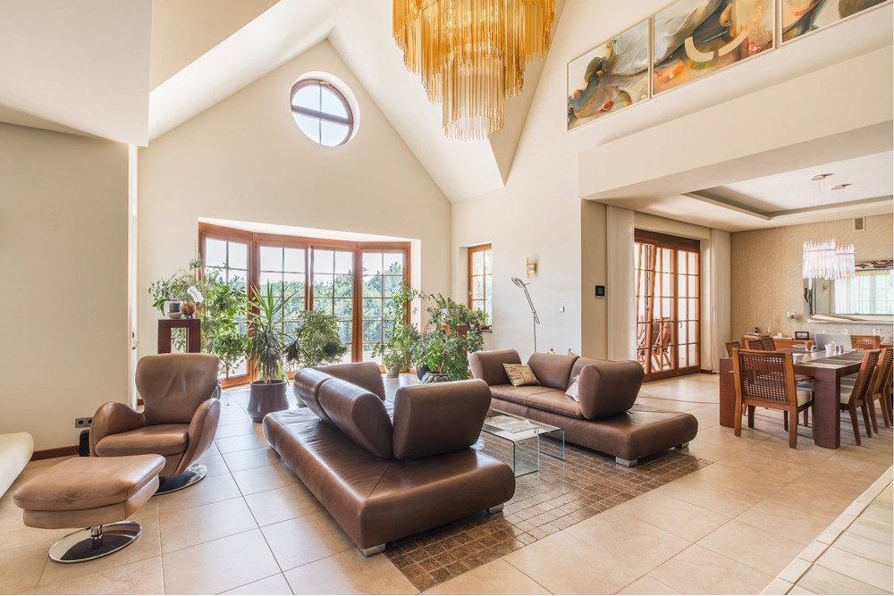 Rezydencja/Willa/Dworek - Sprzedaż - Srebrna Góra, Polska - 008 salon.jpg - 800271021-13