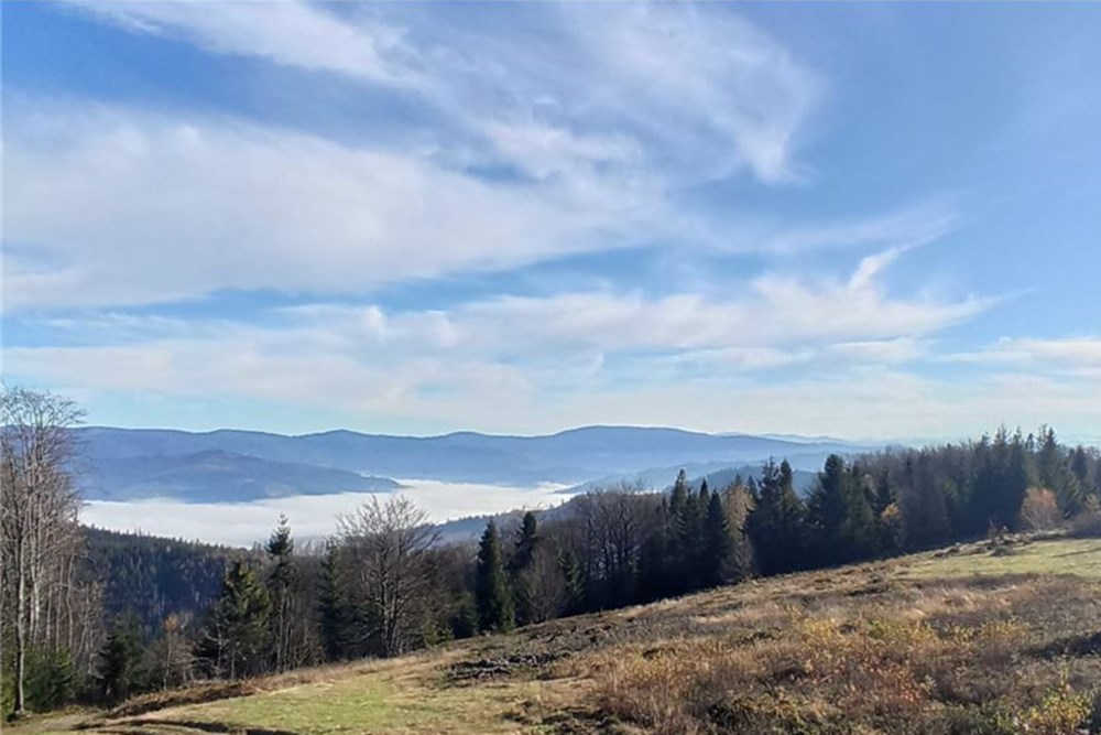 Działka - Sprzedaż - Wisła, Polska - 1 - 470131058-366