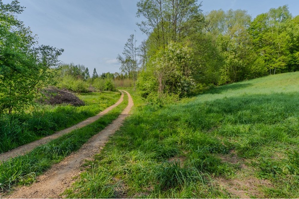 Działka - Sprzedaż - Barwałd Średni, Polska - BARWAŁD ŚREDNI_16.JPG - 470131106-29