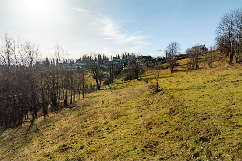 Działka - Sprzedaż - Rzepiska, Polska - 20251114-DJI_0866-HDR.jpg - 800091045-42