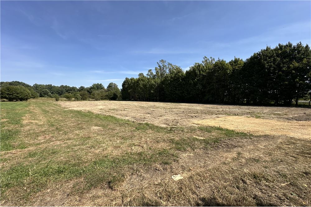 Działka - Sprzedaż - Jankowice, Polska - 4 - 800061103-174