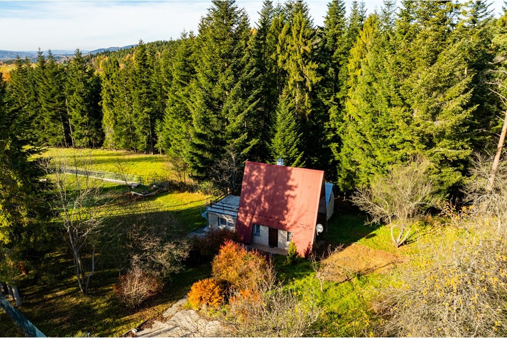 Działka - Sprzedaż - Skawa, Polska - 20251031-DJI_0261-HDR.jpg - 800091056-3