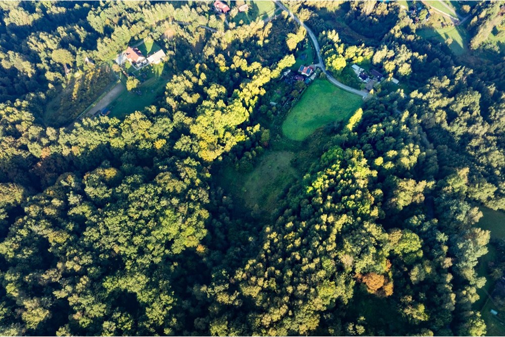 Działka - Sprzedaż - Włosań, Polska - 20250927-DJI_0416-HDR.jpg - 800241010-104