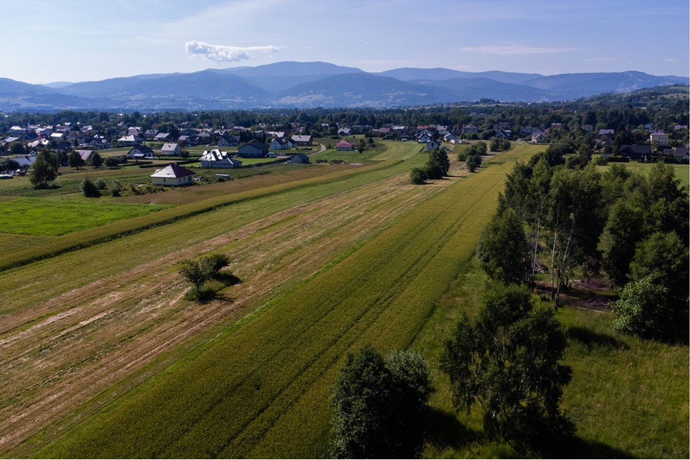 Działka budowlana - Sprzedaż - Lipowa, Polska - Działka_lipowa-12.jpg - 800061116-16