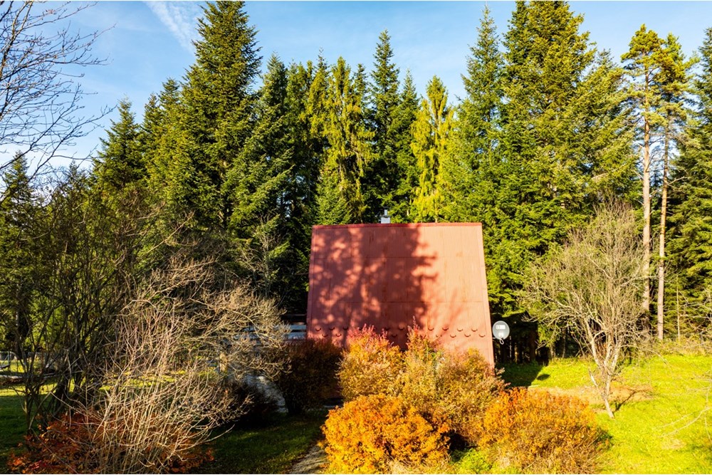 Działka - Sprzedaż - Skawa, Polska - 20251031-DJI_0267-HDR.jpg - 800091056-3