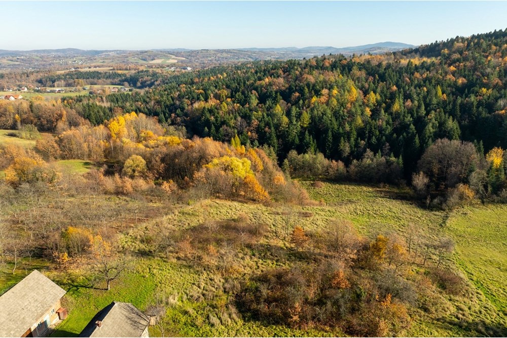 Dom wolnostojący - Sprzedaż - Krasne-Lasocice, Polska - 20251107-DJI_0652-HDR.jpg - 800241017-143