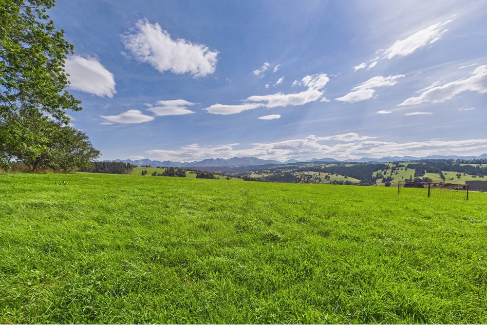 Dom wolnostojący - Sprzedaż - Czerwienne, Polska - CAM05558G0-PR0017-STILL021.jpg - 470151024-447