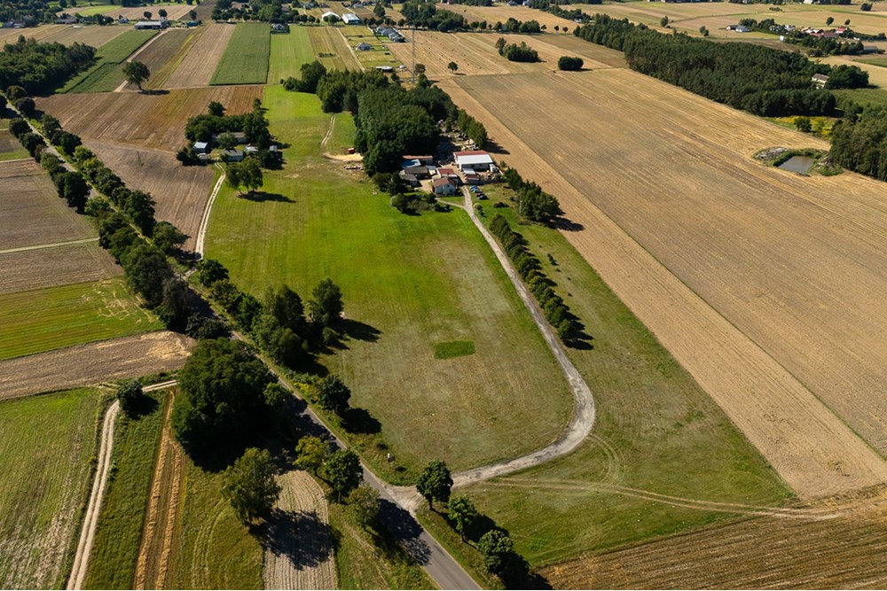 Nieruchomość gruntowa - Sprzedaż - Dalików, Polska - działka-26.jpg - 470291003-12