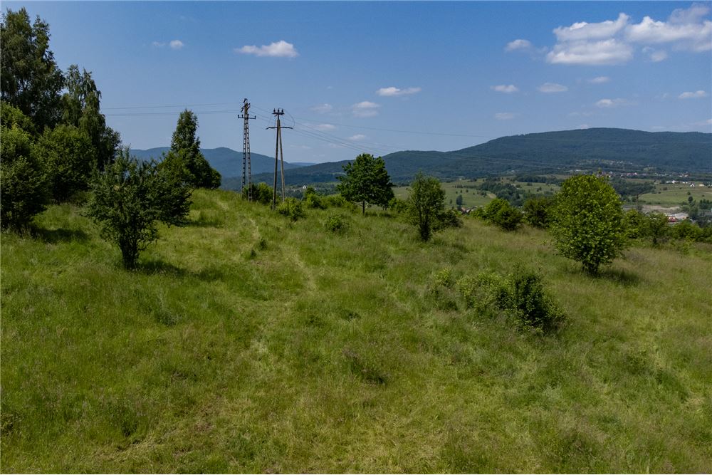 Działka budowlana - Sprzedaż - Rychwałd, Polska - 57 - 800061103-169