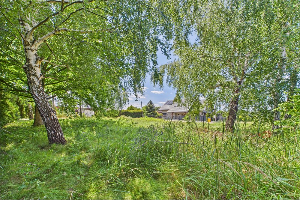 Działka budowlana - Sprzedaż - Żory, Polska - 8 - 470311001-39