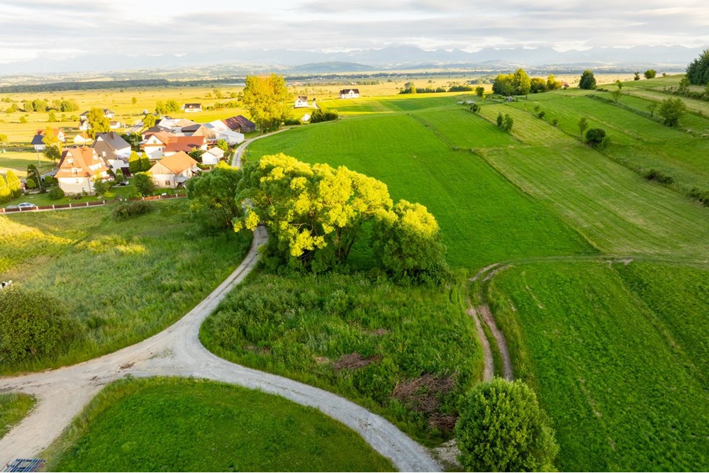 Działka budowlana - Sprzedaż - Pieniążkowice, Polska - DJI_0517-HDR-6.jpg - 800091045-36