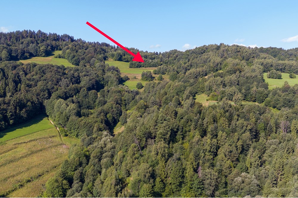 Nieruchomość gruntowa - Sprzedaż - Ochotnica Dolna, Polska - DJI_0003-Edit.jpg - 800091057-4