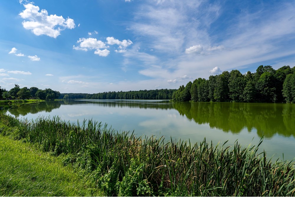 Dom wolnostojący - Sprzedaż - Jedlnia-Letnisko, Polska - JEDLNIA-119.jpg - 810251036-47