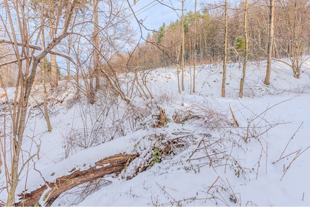 Działka budowlana - Sprzedaż - Bielsko-Biała, Polska - BIELSKO DZIAŁKA NARCIARSKA_22.jpg - 470131102-20