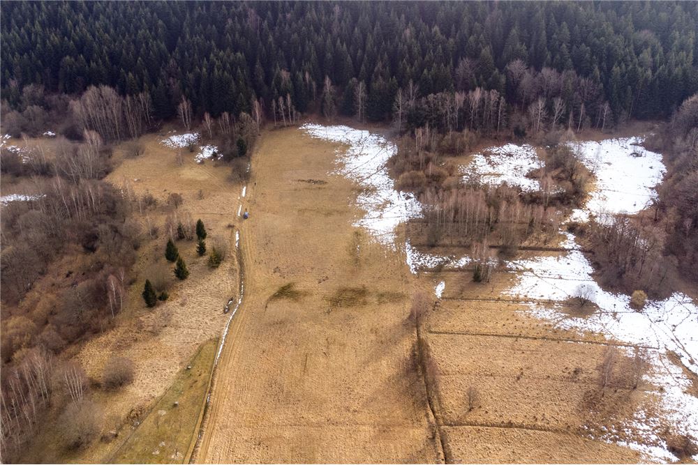 Działka budowlana - Sprzedaż - Las, Polska - 35 - 800061103-198