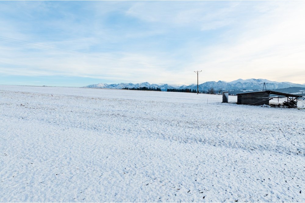 Działka budowlana - Sprzedaż - Czerwienne, Polska - 20251119-DJI_0861-HDR.jpg - 470151051-83