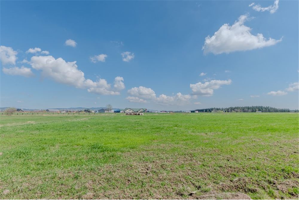 Nieruchomość gruntowa - Sprzedaż - Jabłonka, Polska - 15 - 470131089-56