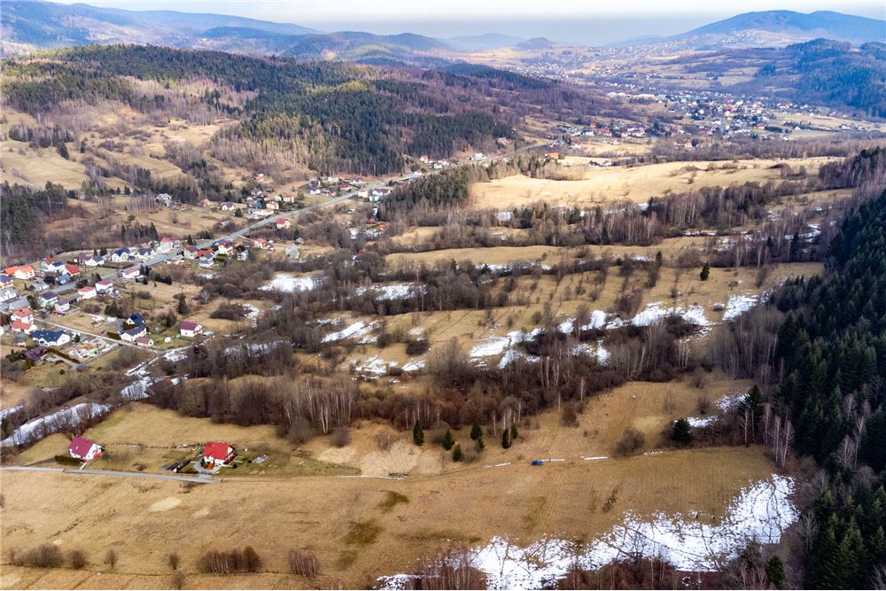 Działka budowlana - Sprzedaż - Las, Polska - 29 - 800061103-198