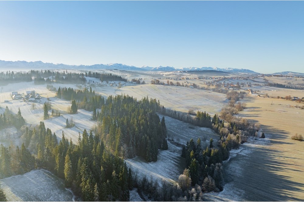 Działka - Sprzedaż - Maruszyna, Polska - 20251119-DJI_0389-HDR.jpg - 800091009-306