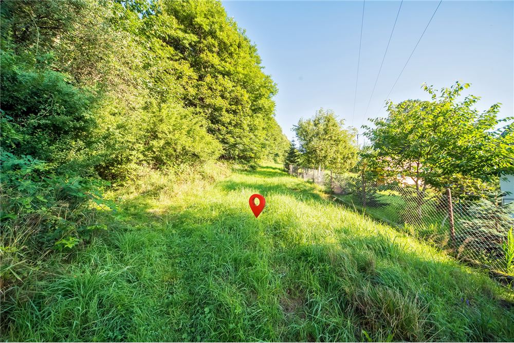 Działka - Sprzedaż - Godziszka, Polska - 5 - 800061116-19