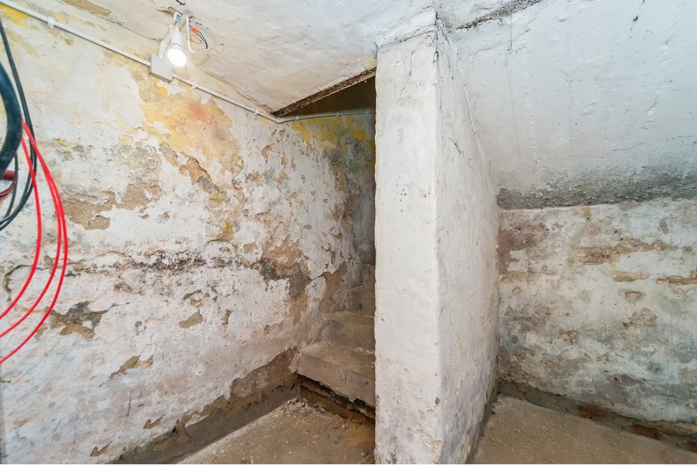 Nieruchomość inwestycyjna - Sprzedaż - Pszczyna, Polska - FRED3_028M.jpg - 800061076-448