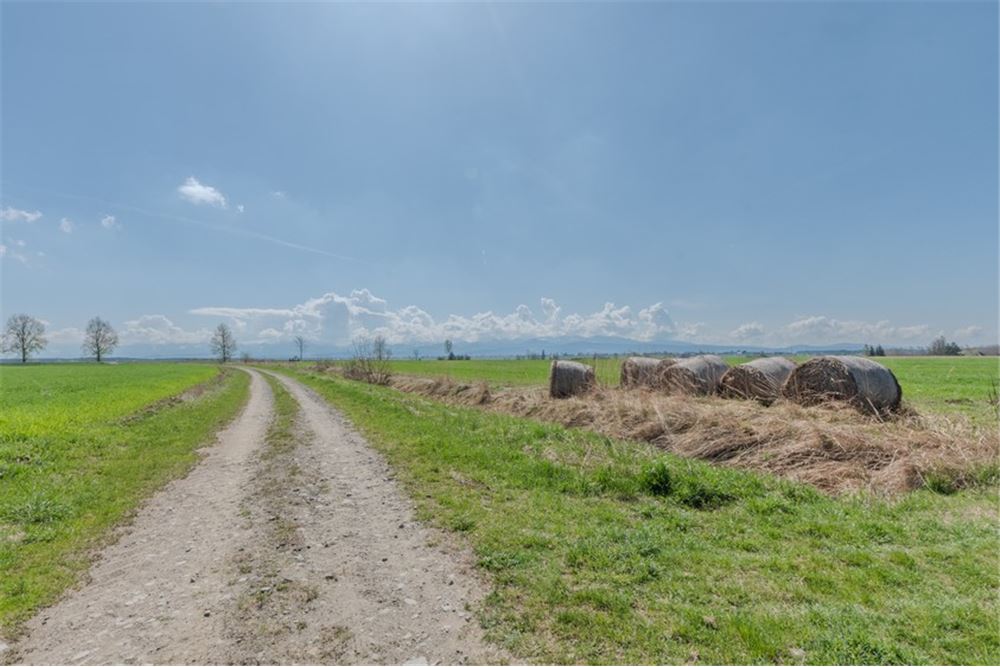 Nieruchomość gruntowa - Sprzedaż - Jabłonka, Polska - 5 - 470131089-56