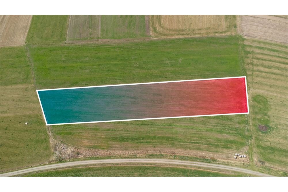 Nieruchomość gruntowa - Sprzedaż - Jabłonka, Polska - 6 - 470131089-56